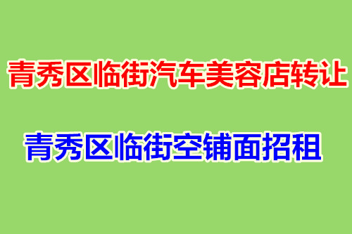 （已成交）黄金地段经营中，盈利中的400平临街汽车美容店