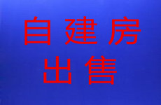 （已成交）良庆区大沙田地铁口附近1-7楼467平自建房